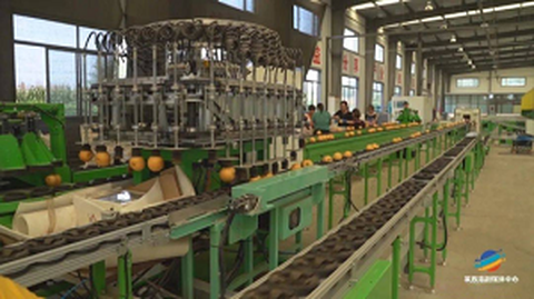 اولین انجمن خدمات استانداردسازی میوه