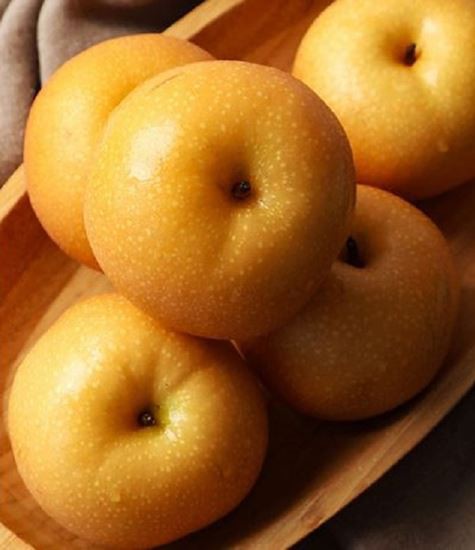 انواع گلابی