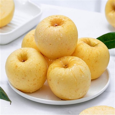 کرم فوجی اپل