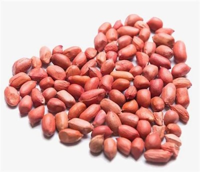 بادام زمینی خام تازه بزرگ