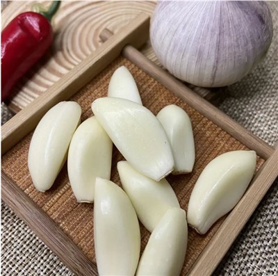 سیر فضایی رشد