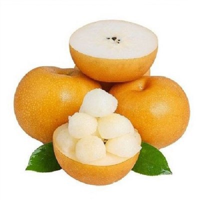 گلابی آسیایی Qiuyue